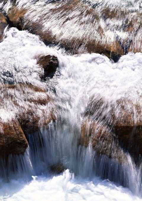 年货大集 满满“烟火气”